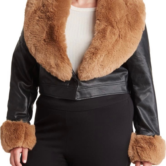 Jacket - Picture 2 of 6